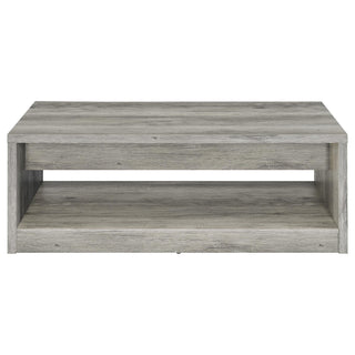 Nuberg - 2 Drawer Coffee Table Rectangular Design - Gray