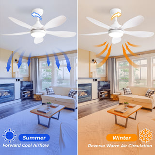42" Ceiling Fan With Remote Control, DC Reversible Motor, 6 Speeds, 3Cct LED Light - White