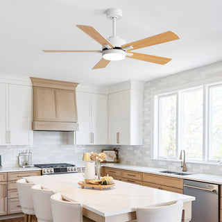 Reversible DC Motor Ceiling Fan With Dimmable LED Light For Living Room