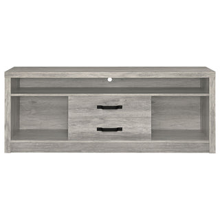 Bergeron - 2 Drawer TV Stand - Driftwood