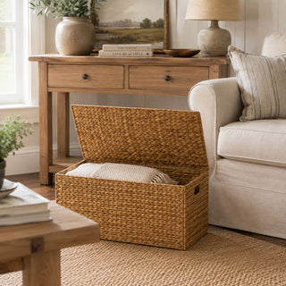Ludmila - Rectangular Storage Trunk