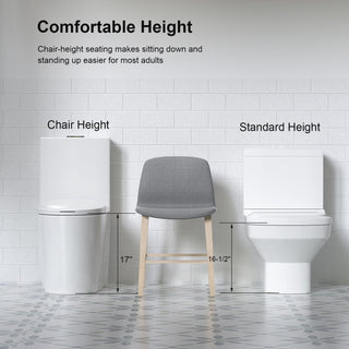 Glossy Tornado Flush 1 Piece Toilet With Dual Flush, Soft Close Seat - Gloss White
