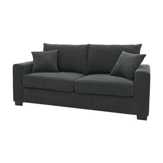 2 Seater Sofa, 2 Throw Pillows For Living Room