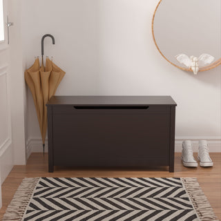 Toy Box Storage With Safety Hinged Lid