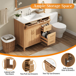Bathroom Vanity With Sink, Soft Close Doors & Drawers - Wood