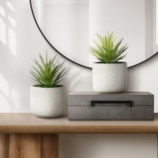 Artificial Succulent, Table Decor (Set of 2) - Green - Plastic