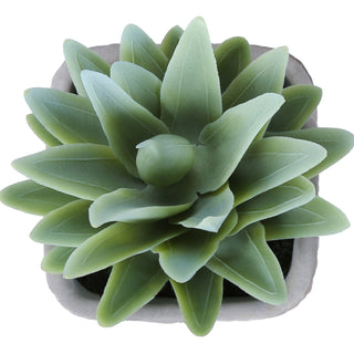 Artificial Succulent, Table Decor (Set of 2) - Green / Gray
