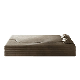 Modern Floor Sofa With 2 Pillows, Convertible Twin Size Folding Mattress For Living Room