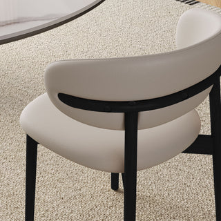 Mid-Century Modern Dining Chair (Set of 2)