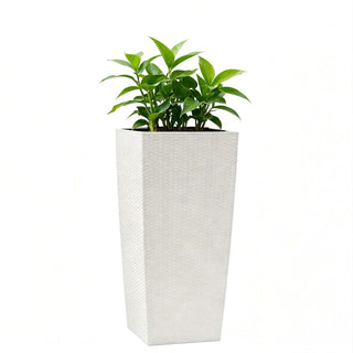 Indoor Outdoor Planter With Automatic Watering System