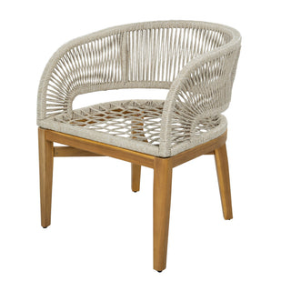Outdoor Dining Chairs With Cushion (Set of 2)