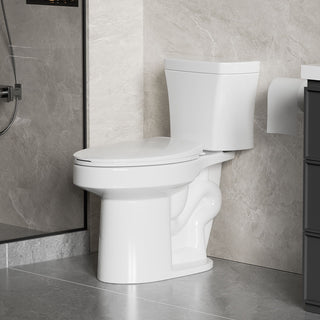 Gloss 2 Piece Toilet With 1.28 Gpf Tornado Flush, Rimless Bowl, Soft Closing Seat - Gloss White