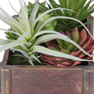 Artificial Succulent, Table Decor (Set of 2) - Green / Dark Brown