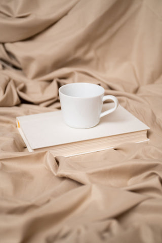 Brushed Hypoallergenic Sheet Set