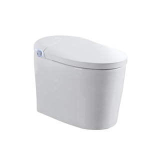 Tankless Smart Toilet With Bidet Built In, 1 Piece, Auto Flush, Auto Open / Close, Heated Seat, Bubble Wash, Warm Water And Dry, Adjustable Temp, Remote Control Side Know - White