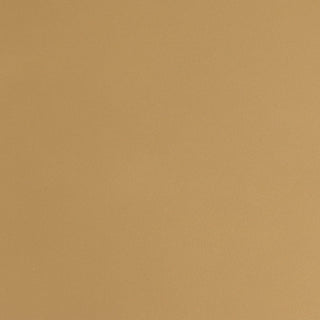 Square Counter Height Stools (Set of 2) - Beige / Gold