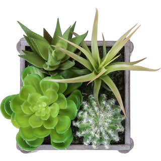 Artificial Succulent, Table Decor (Set of 2) - Green / Dark Gray