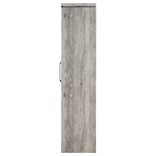 Myerson - 2 Door Tall Cabinet - Gray