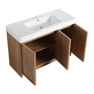 Freestanding Bathroom Vanity With Sink, Soft Close Doors