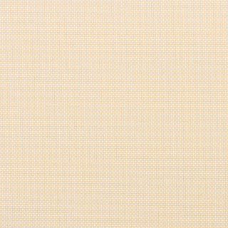 Outdoor Dining Chairs (Set of 2)