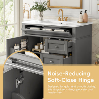 Bathroom Vanity With Top Sink, 2 Drawers, Tip Out Drawer