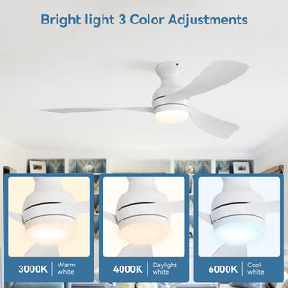 52" Low Profile Ceiling Fan With Lights, Quiet Reversible DC Motor, Dimmable LED, 3 Blades - White