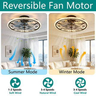Caged Ceiling Fan With Remote Controlled LED Light - Matte Black
