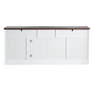 Modern TV Console & Adjustable Shelves
