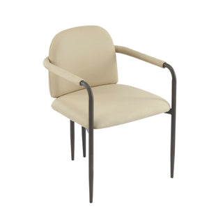 Modern Dining Chair (Set of 2) With Iron Frame - Espresso / Khaki