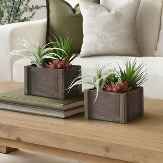 Artificial Succulent, Table Decor (Set of 2) - Green / Dark Brown