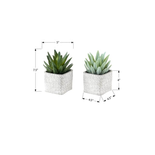 Artificial Succulent, Table Decor (Set of 2) - Green / Gray