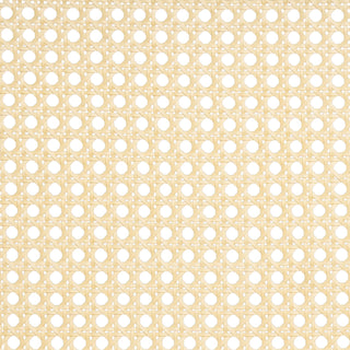 Chandigarh Arm Dining Chair With Natural Cane Design (Set of 2)