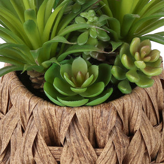Artificial Succulent, Table Decor (Set of 2) - Green