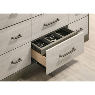Edmondson - 9 Drawer Dresser With Mirror - Natural / Gray