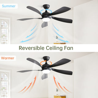 52" Low Profile Ceiling Fan With Remote Control Lights DC Motor For Patio Living Room - Black