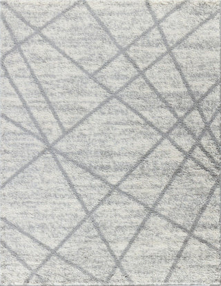 Loft Shag - 7'10" X 9'10" Polypropylene, Shaggy Area Rug - Gray