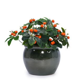 3 Pieces Ceramic Flowerpot, Planter For Patio, Garden Or Windowsills