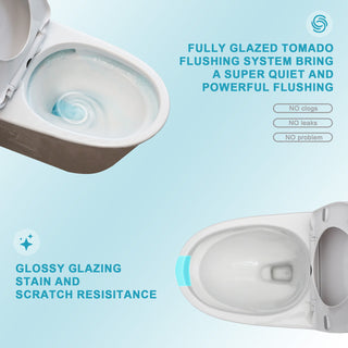 1 Piece Toilet For Bathroom, Dual Flush 1.24 / 1.43 Gpf, Soft Closing Seat - White