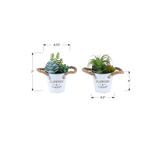 Artificial Succulent, Table Decor (Set of 2) - Green / White