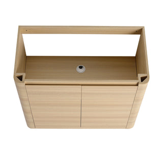 Freestanding Bathroom Vanity With Sink & 2 Soft Close Doors