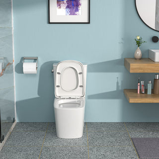 1 Piece Toilet With Single Flush And Soft Closing Seat - White