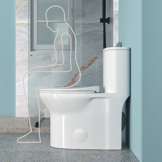 1 Piece Toilet For Bathroom, Dual Flush, Soft Closing Seat - White
