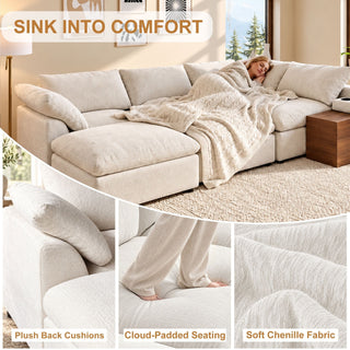 Modular Cloud Couch With Storage Console