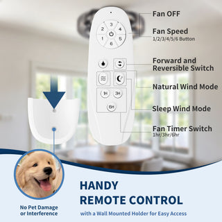 Flush Mount Ceiling Fan With Lights, Low Profile Fandelier With E12 Sockets, Reversible DC Motor, 6 Speeds - Black