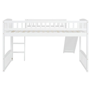 Loft Bed With Slide And Ladder