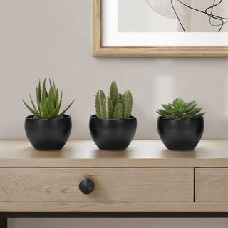 Artificial Succulent Plants (Set of 3)