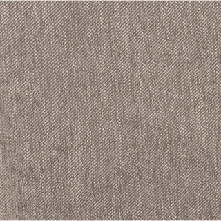 Guinea - Dining Side Chair (Set of 2) - Walnut