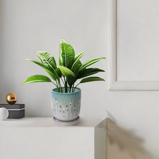 Flowerpot With Drainage Hole (Set of 2)