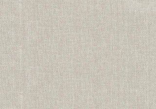Queen Size Bed, Upholstered, Transitional - Beige