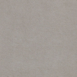 Destiny - Eastern King Panel Bed - Beige